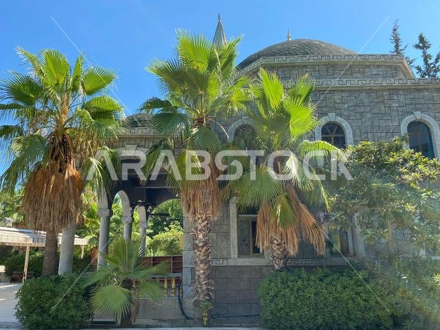 حصن أو مسجد إسلامي. قصر على الطراز العربي ذو برج في مكان ما على مشارف الرياض في المملكة العربية السعودية. قصر علاء الدين ذو نخلة