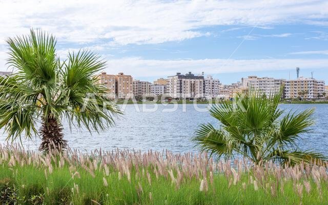 Jeddah downtown central district and lake Ar Arbaeen park, Saudi Arabia
