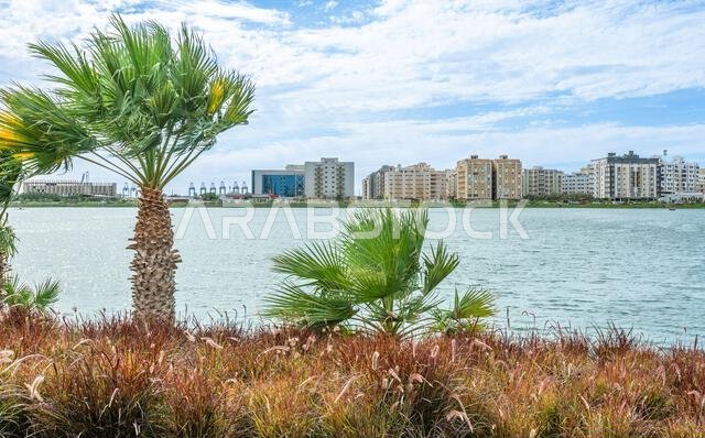 منطقة وسط مدينة جدة وبحيرة حديقة الأربعين، المملكة العربية السعودية
