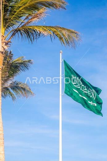 Saudi Arabian flag waving on the wind with palm leaves, Jeddah, Saudi Arabia Saudi Arabian flag waving on the wind with palm leaves, Jeddah, Saudi Arabia