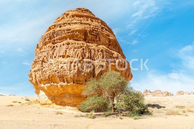 خلف ضريح لحيان، ابن كوزا، المنحوت في الصخر في الصحراء، المدائن صالح، الحِجر، المملكة العربية السعودية