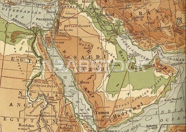 Vintage geographical map of Saudi Arabia in sepia.