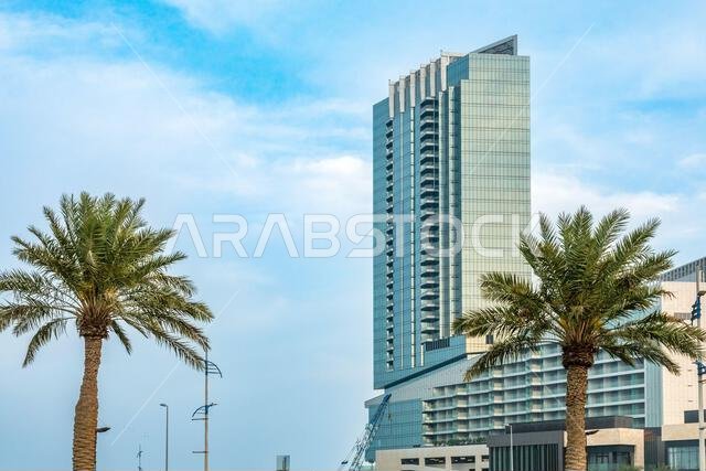 Modern building and palms, Al Khobar, Saudi Arabia