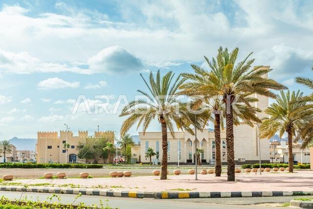 ساحة مدينة حائل المركزية ذات أشجار النخيل في المقدمة، حائل، المملكة العربية السعودية