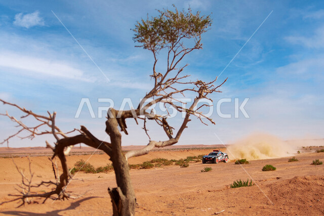 سباق رالي داكار في المملكة العربية السعودية ،  بطولة العالم للراليات الصحراوية ، رياضة السيارات الترابية ، المسارات على الكثبان الرملية ، رياضة التطعيس على الرمال الناعمه في صحراء المملكه العربيه السعوديه، أنشطه ترفيهيه، سباقات سيارات