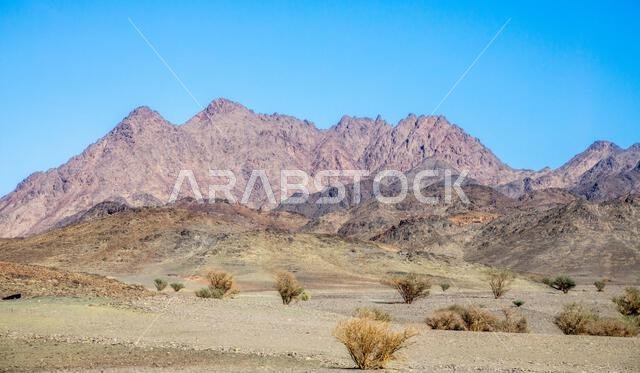منظر صحراوي مع جبال في الخلفية، بالقرب من العلا، المملكة العربية السعودية منظر صحراوي مع جبال في الخلفية، بالقرب من العلا، المملكة العربية السعودية