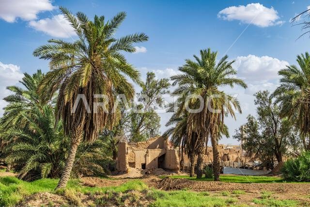 Oasis and Old home - Muzahmiyah