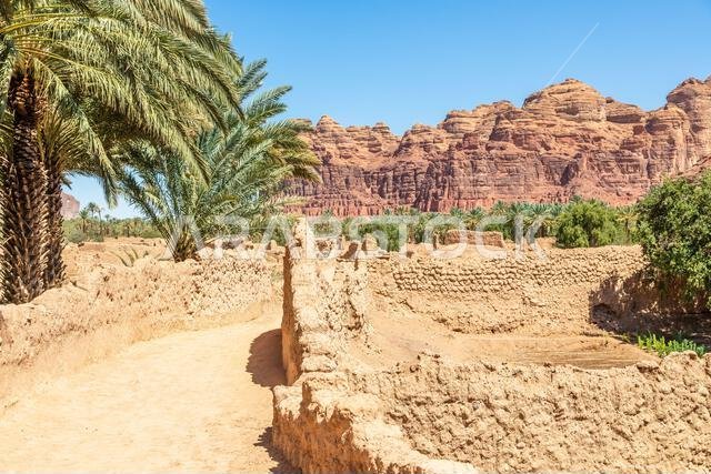 شارع البلدة القديمة المدمر في العلا، والذي تصطف على جانبيه أشجار النخيل، المملكة العربية السعودية شارع البلدة القديمة المدمر في العلا، والذي تصطف على جانبيه أشجار النخيل، المملكة العربية السعودية