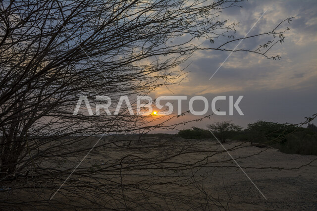 صورة خلابة لغروب الشمس بالصحراء , صورة ابداعية للشمس من خلف الاشجار وقت الغروب، الطبيعية الخلابة للسماء والاشجار، مناظر طبيعية خلابة في المملكة العربية السعودية