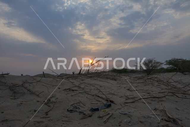 صورة خلابة لغروب الشمس بالصحراء , صورة ابداعية للشمس من خلف الاشجار وقت الغروب، الطبيعية الخلابة للسماء والاشجار، مناظر طبيعية خلابة في المملكة العربية السعودية