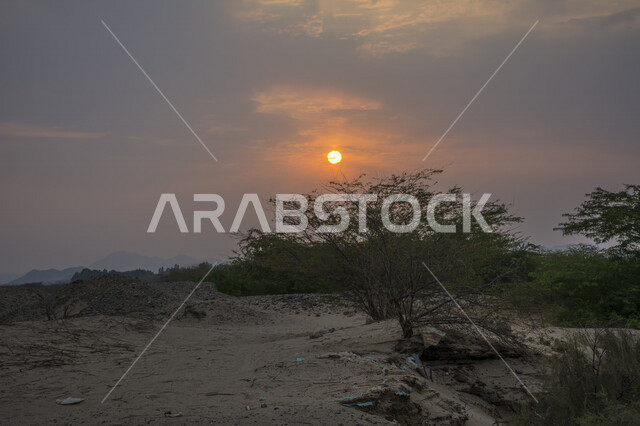 صورة خلابة لغروب الشمس بالصحراء , صورة ابداعية للشمس من خلف الاشجار وقت الغروب، الطبيعية الخلابة للسماء والاشجار، مناظر طبيعية خلابة في المملكة العربية السعودية