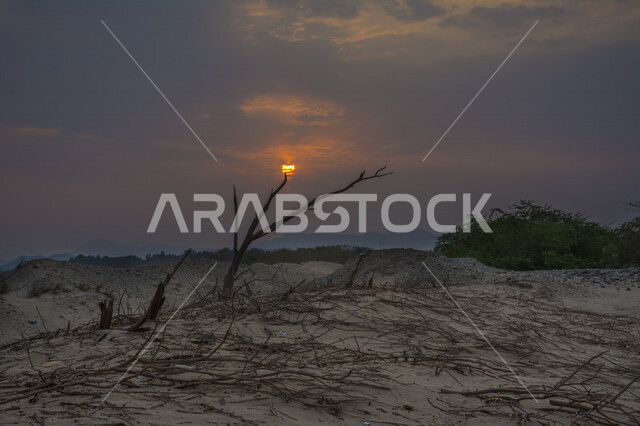 صورة خلابة لغروب الشمس بالصحراء , صورة ابداعية للشمس من خلف الاشجار وقت الغروب، الطبيعية الخلابة للسماء والاشجار، مناظر طبيعية خلابة في المملكة العربية السعودية