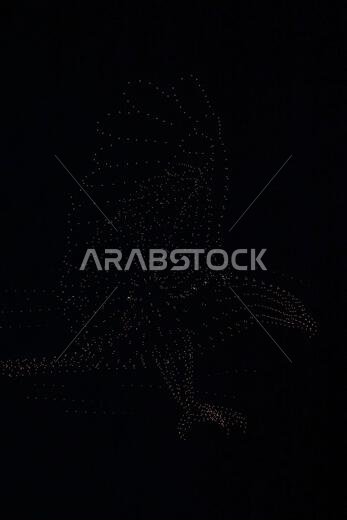 جدة، المملكة العربية السعودية. ١٩ مارس ٢٠٢٣. أجواء حلبة السباق - عرض ضوئي بطائرة بدون طيار. بطولة العالم للفورمولا ١، الجولة الثانية، جائزة السعودية الكبرى، الأحد ١٩ مارس ٢٠٢٣. جدة، المملكة العربية السعودية. حقوق الصورة: جيمس موي/ألامي لايف نيوز