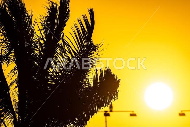 Jeddah, Saudi Arabia. 16th Mar, 2023. Circuit atmosphere - sunset. 16.03.2023. Formula 1 World Championship, Rd 2, Saudi Arabian Grand Prix, Jeddah, Saudi Arabia, Preparation Day. Photo credit should read: XPB/Press Association Images. Credit: XPB Images Ltd/Alamy Live News