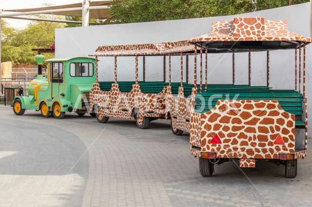 صورة لقطار الترفيه داخل حديقة الحيوانات الملز في مدينة الرياض في المملكة العربية السعودية ، أماكن سياحية ترفيهية في السعودية ، معالم السعودية السياحية ، حديقة الحيوان بالملز في الرياض