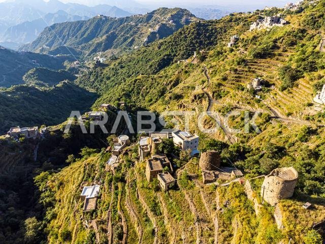 مدرجات خضراء، جبل فيفا، منطقة جازان، المملكة العربية السعودية، الشرق الأوسط