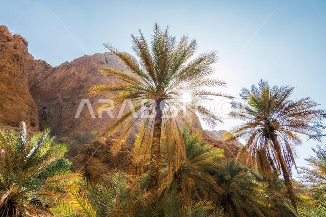 وادي شاب في عُمان