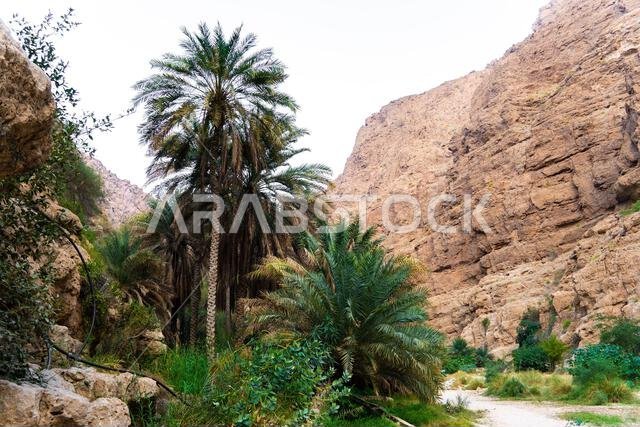 وادي شاب في عُمان