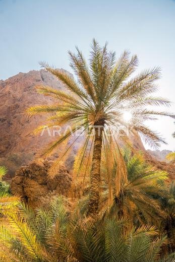 وادي شاب في عُمان