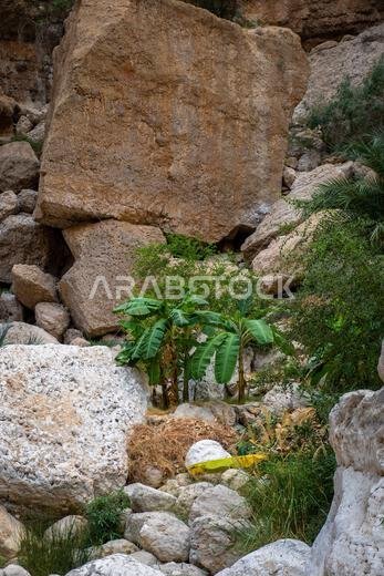 وادي شاب في عُمان