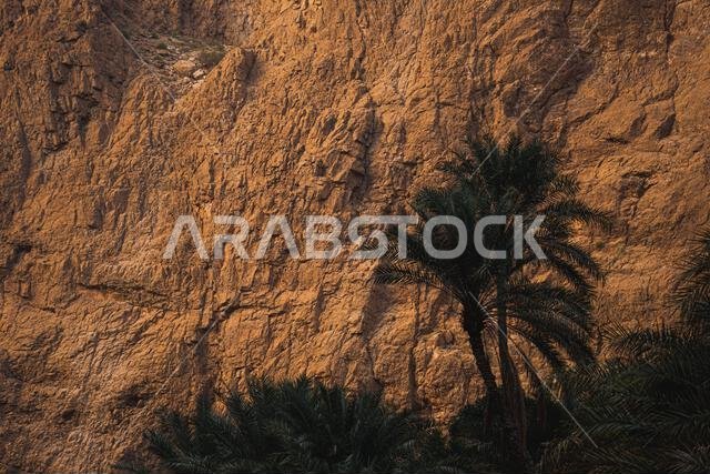 Wadi Shab in oman