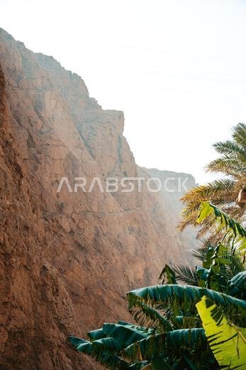 وادي شاب في عُمان