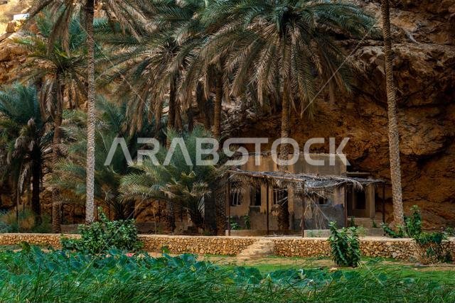 وادي شاب في عُمان