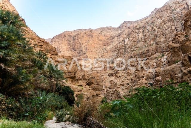 وادي شاب في عُمان