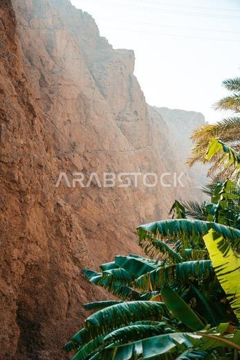 وادي شاب في عُمان