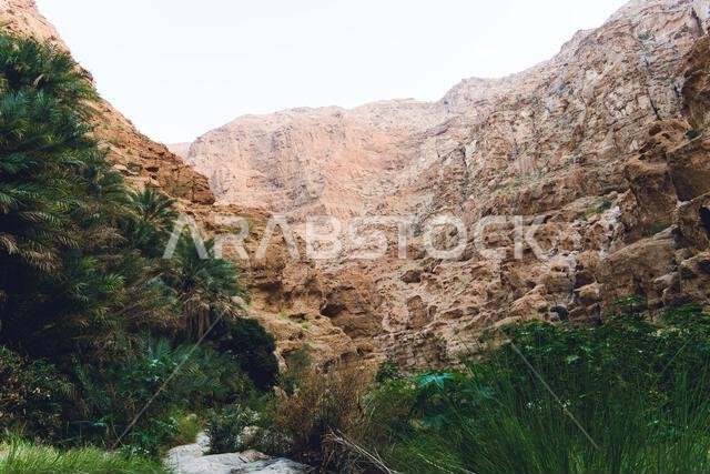 وادي شاب في عُمان