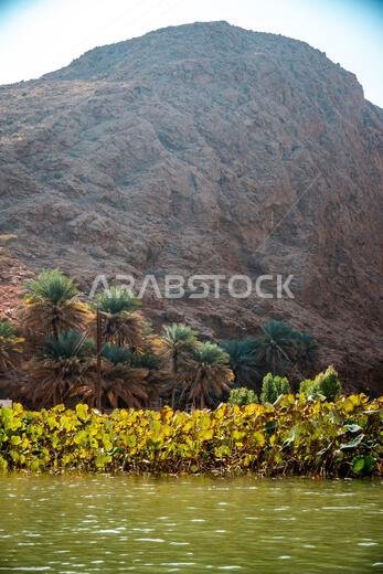 وادي شاب في عُمان