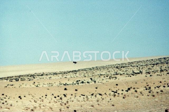 An M-47 Dragon missile in-flight during a live fire exercise by C Company, 505th Parachute Infantry Regiment, during Operation Desert Shield. Subject Operation/Series: DESERT SHIELD Country: Saudi Arabia(SAU)