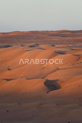 شروق الشمس في الصحراء