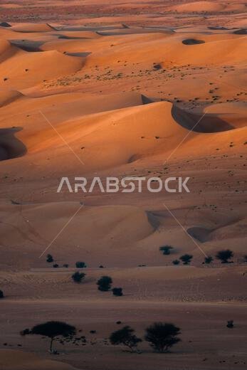 شروق الشمس في الصحراء