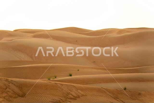 Sunrise in the desert