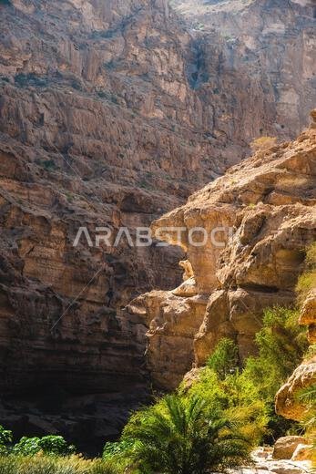 وادي شاب في عُمان