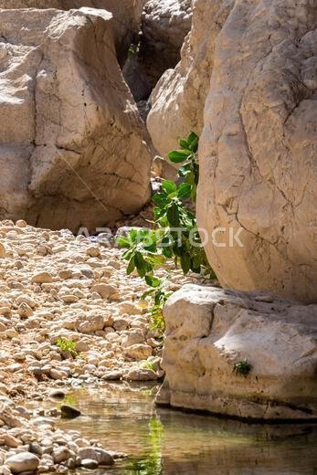 wadi bani oman