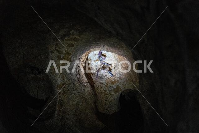 wadi bani oman