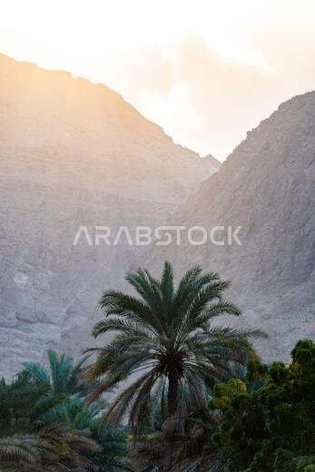 وادي شاب في عُمان