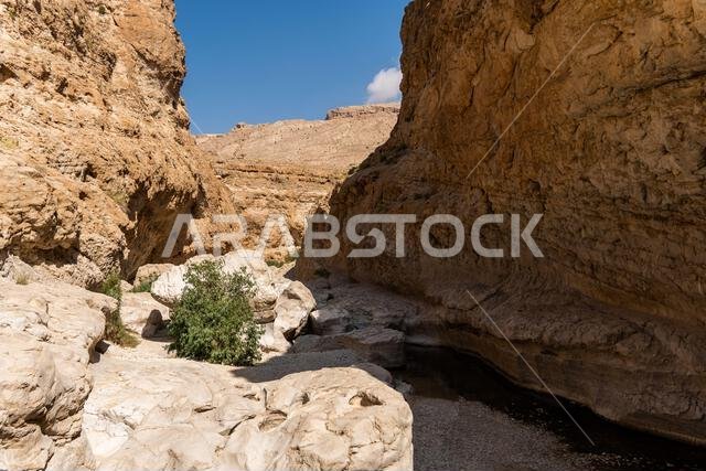 wadi bani oman