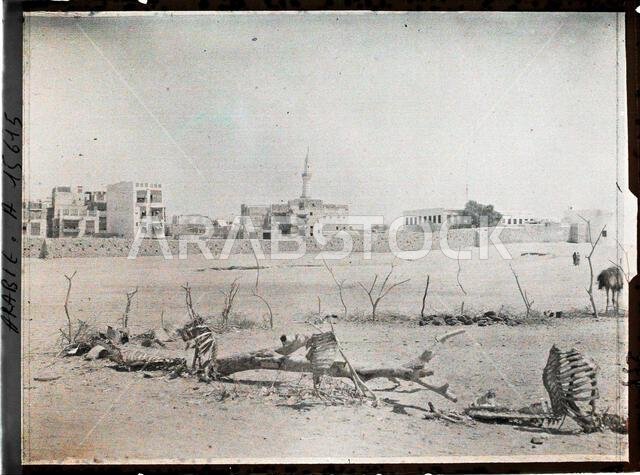 Djeddah, Arabia in the foreground, a small enclosure of a hut from the village of Nakatu , 1918 - Near East, Egypt, Palestine, Cyprus - Paul Castelnau (photographic section of the armies) - (January 9 -October 6)