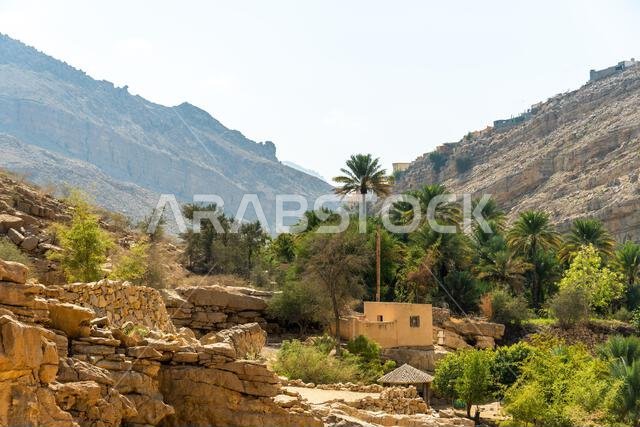 wadi bani oman