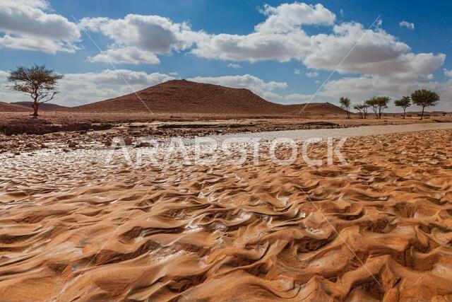 منظر صحراوي بعد المطر، المملكة العربية السعودية
