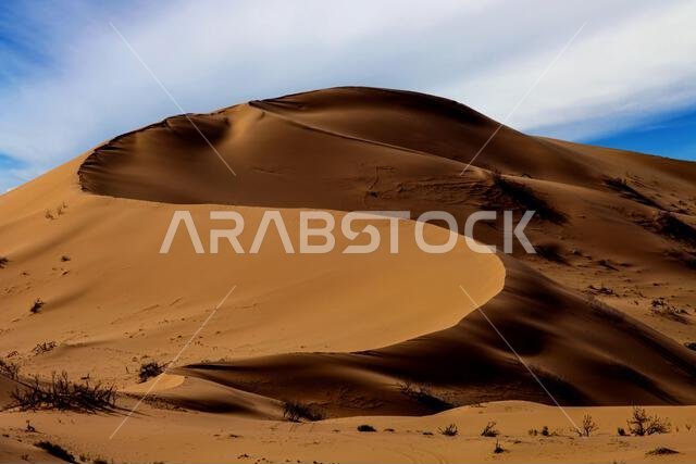 Sand dune in desert landscape, Saudi Arabia
