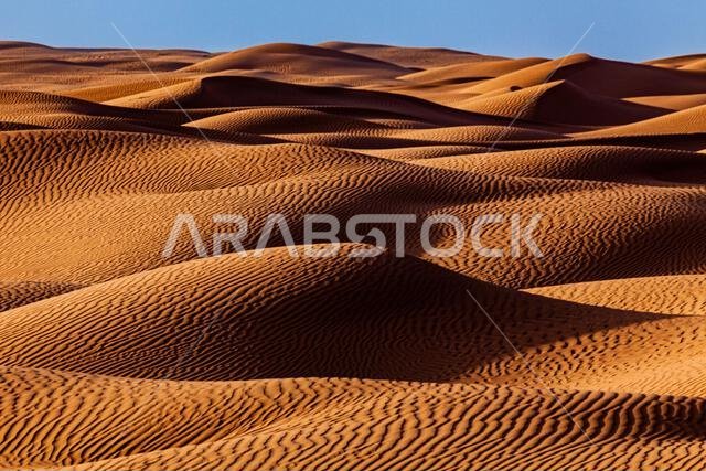منظر صحراوي مع كثبان رملية، المملكة العربية السعودية
