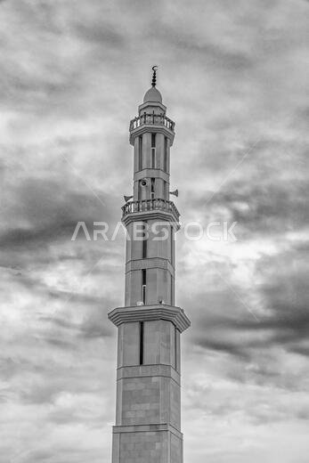 المئذنة رقم 12 أبيض وأسود المئذنة رقم 12 أبيض وأسود