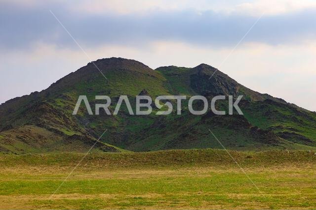 Mecca , Saudi Arabia , 13 Jan 2023: Makkah Spring after raining season , beautiful green grass
