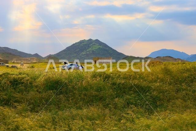 Mecca , Saudi Arabia , 13 Jan 2023: Makkah Spring after raining season , beautiful green grass