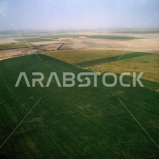 Buraidah Saudi Arabia Irrigated Farm Land Aerial View