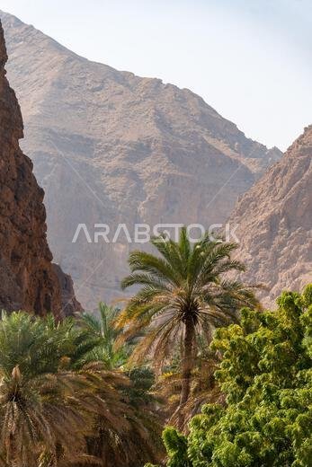 Wadi Shab in oman